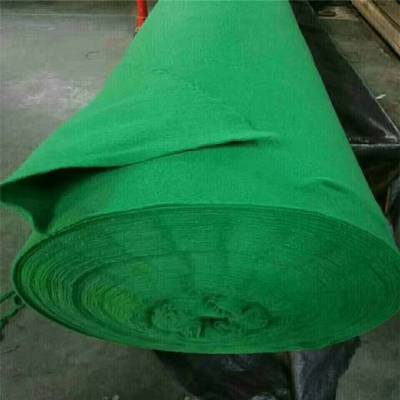 吉林250克土工布的特性与应用
